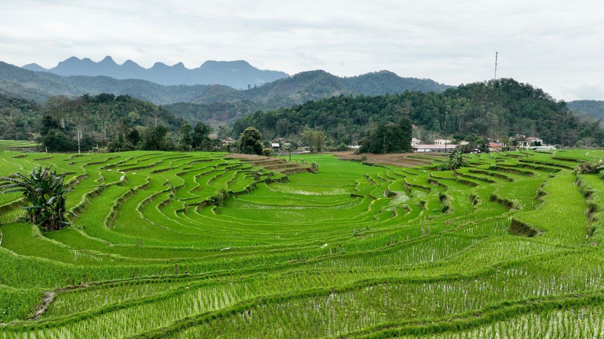 Thavill Retreat Hagiang Apartment Ха Жианг Екстериор снимка