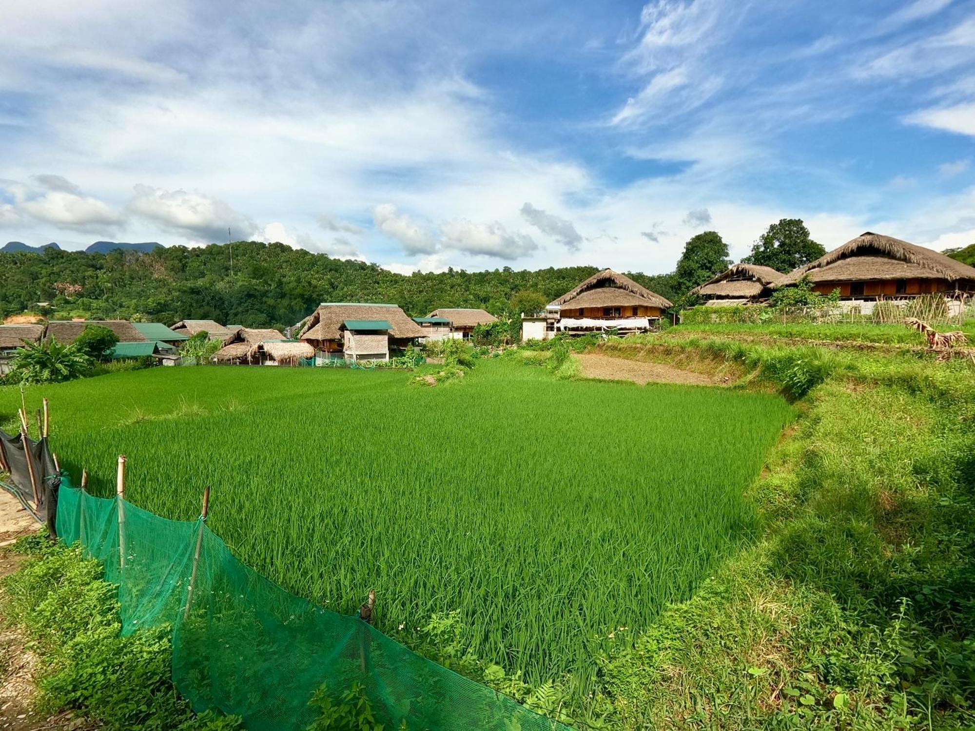 Thavill Retreat Hagiang Apartment Ха Жианг Екстериор снимка